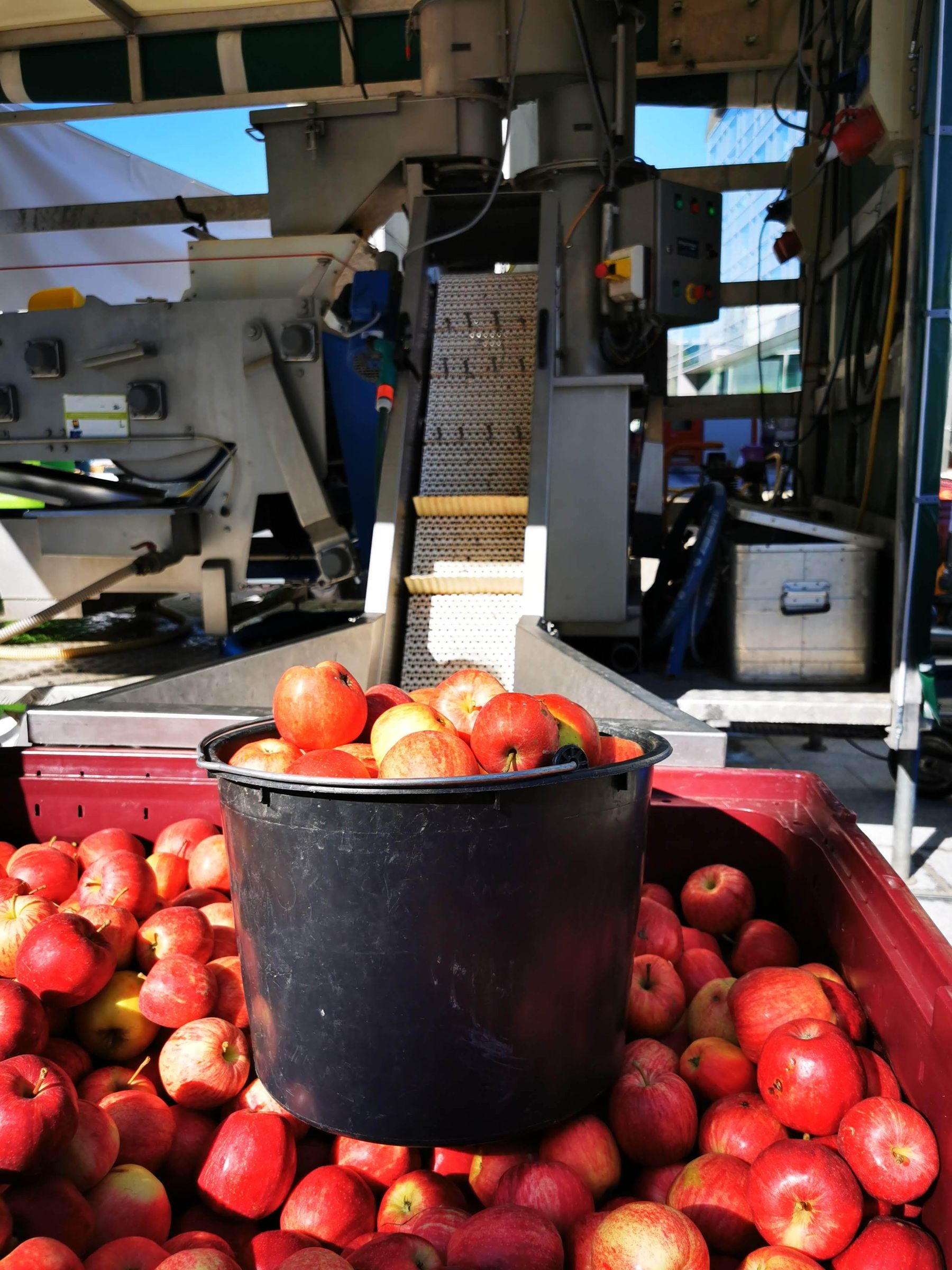 Apfelsaft pressen beim Landhausfest am Samstag, 3. September in St. Pölten.