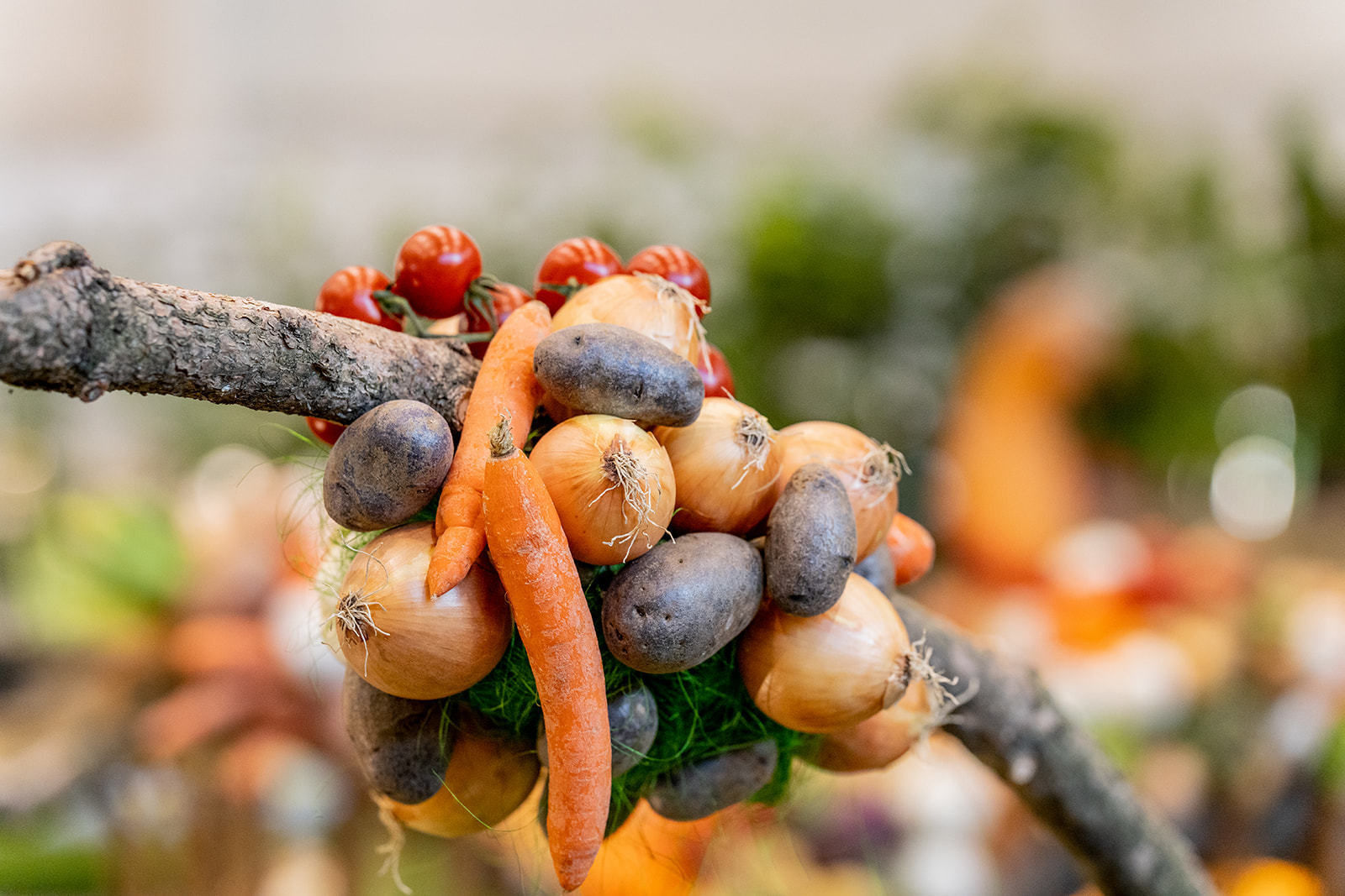 © Georg Pomassl/LK Niederösterreich © Georg Pomassl/LK Niederösterreich