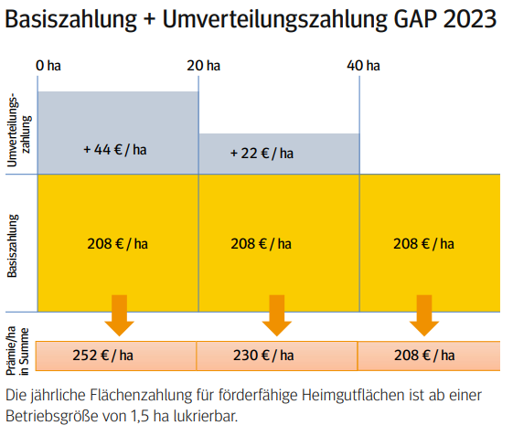 lag radius amplitude Direktzahlungen in der neuen GAP 2023 | Landwirtschaftskammer Kärnten