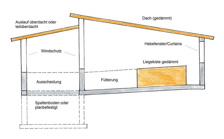 Außenklimastall für Schweine © Gottfried Etlinger/LK Niederösterreich Außenklimastall für Schweine © Gottfried Etlinger/LK Niederösterreich