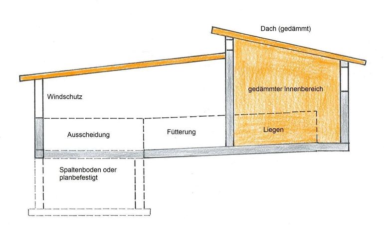 Außenklimastall für Schweine