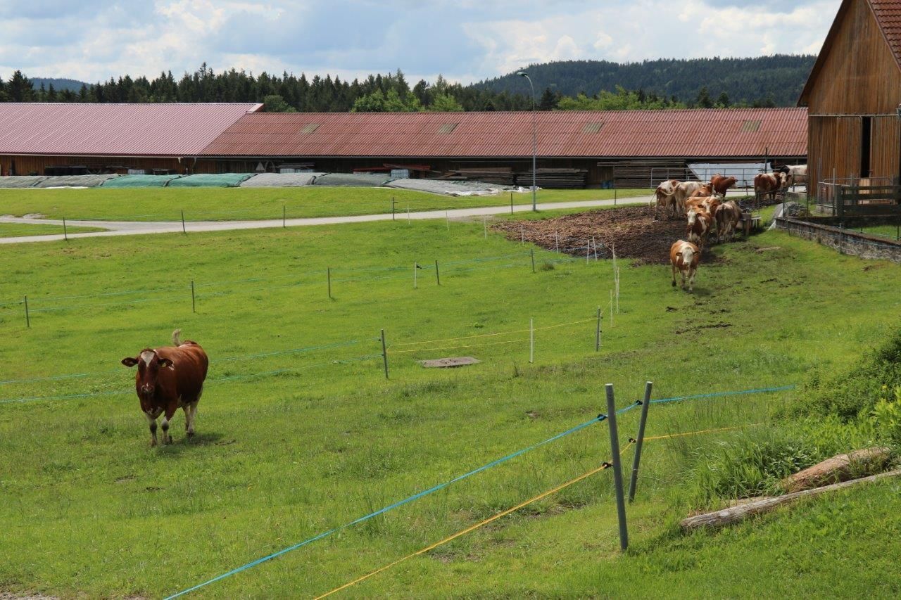 Tipps für die Grünlandnutzung am Biobetrieb Zeilinger bei Weitra.