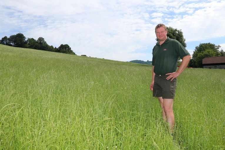 Stefan Sommerauer aus Rabenstein zeigt, wie er trotz Trockenheit zu genug Wiesenfutter kommt. © Paula Pöchlauer-Kozel/LK Niederösterreich