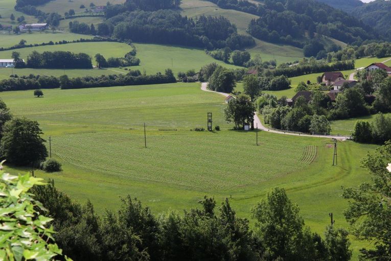 Stefan Sommerauer aus Rabenstein zeigt, wie er trotz Trockenheit zu genug Wiesenfutter kommt. © Paula Pöchlauer-Kozel/LK Niederösterreich