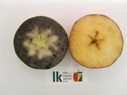 Reife.jpg © LK Kärnten/Siegfried Quendler Reife.jpg © LK Kärnten/Siegfried Quendler