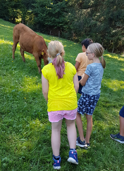 Die Bäuerinnen von Gresten-Land und Gresten Die Bäuerinnen von Gresten-Land und Gresten