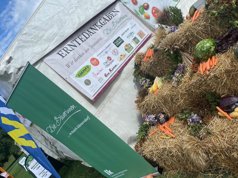 Bild 15.jpg Bild 15.jpg