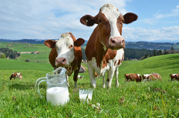 Milch.jpg © adobe.stock.com Milch.jpg © adobe.stock.com