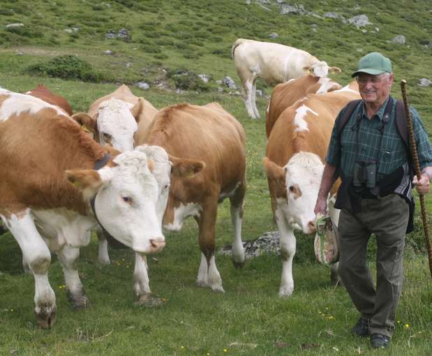 Almhirte.jpg © caRINDthia Almhirte.jpg © caRINDthia