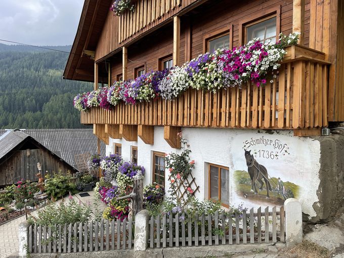 © Fördergemeinschaft Gartenbau © Fördergemeinschaft Gartenbau