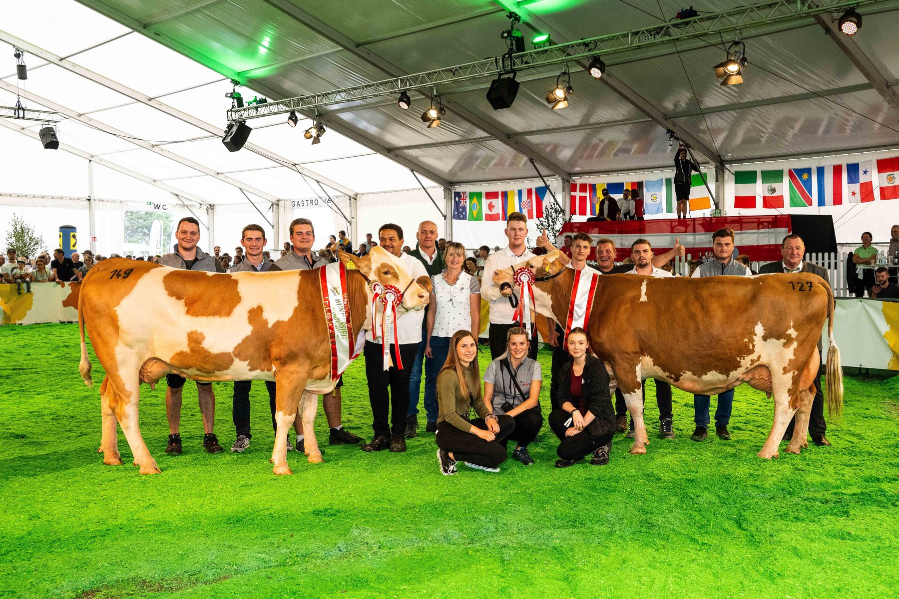 Das Team von caRINDthia unter der Leitung von Ing. Alfred Possegger freut sich über den großartigen Erfolg auf der Bundesfleckviehschau 2022, links: Bundeschampion Jungkühe Elvira; Vater: Weissensee, Karin Lichtenegger, St. Margarethen/Lav., rechts: Bundeschampion Kühe Alt	Wanda; Vater: Idako; Fritz Dullnig, Kremsbrücke © caRINDthia