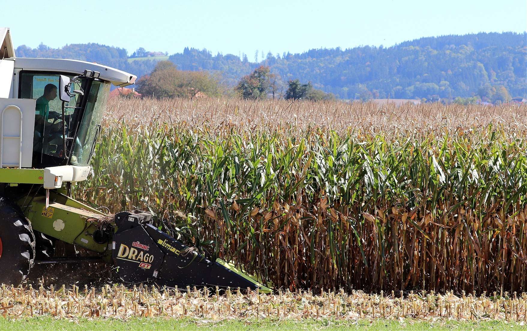 corn-harvest-g7f72b3b44_1920.jpg © pixabay corn-harvest-g7f72b3b44_1920.jpg © pixabay