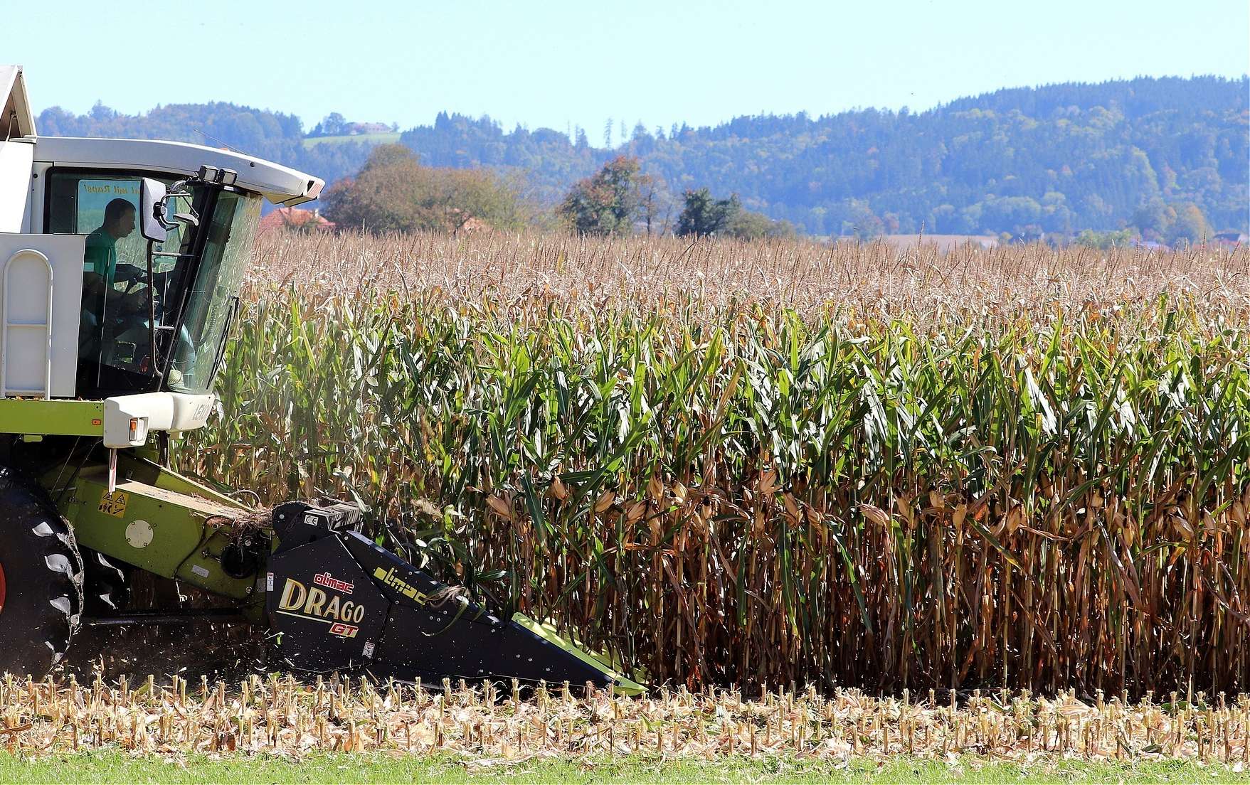 corn-harvest-g7f72b3b44 1920.jpg