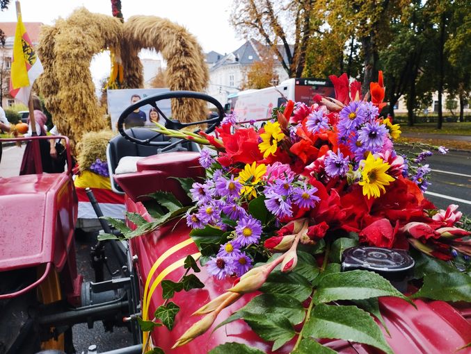 © LK Kärnten/Kerstin Oberrauner © LK Kärnten/Kerstin Oberrauner