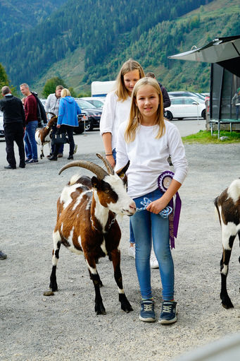 Bundesschau22_Gebirgsziegen_254.jpg © Kronreif