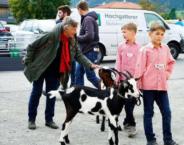 Bundesschau22 Gebirgsziegen 256 be.jpg