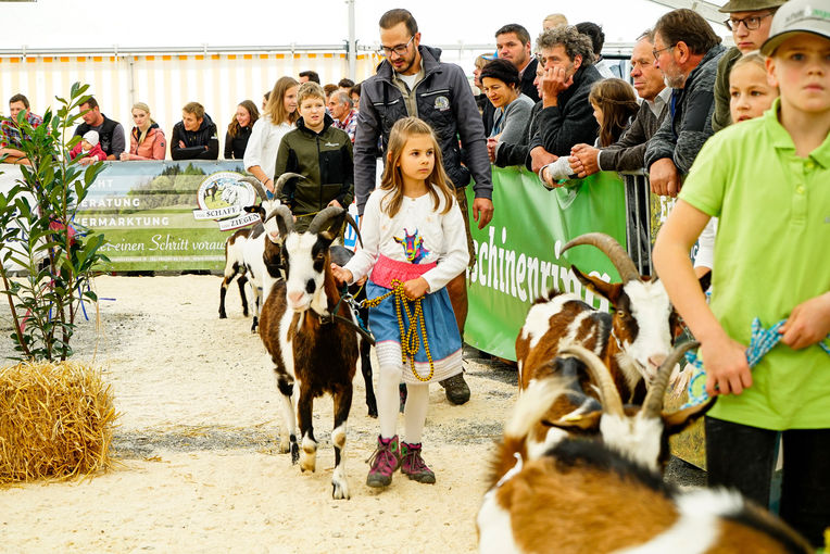 Bundesschau22_Gebirgsziegen_290.jpg © Kronreif