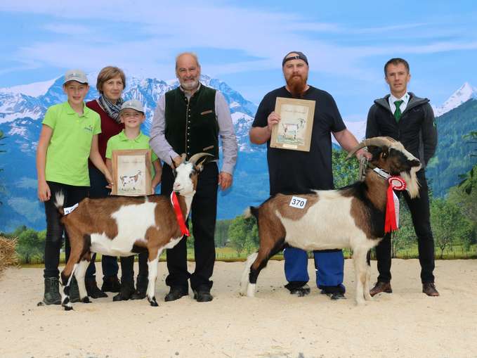 Bundessiegerin Steirische Scheckenziege.jpg © Sendlhofer Bundessiegerin Steirische Scheckenziege.jpg © Sendlhofer