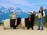 Bundessiegerin und Bundessieger bei den Walliser Schwarzhalsziegen.jpg © Sendlhofer
