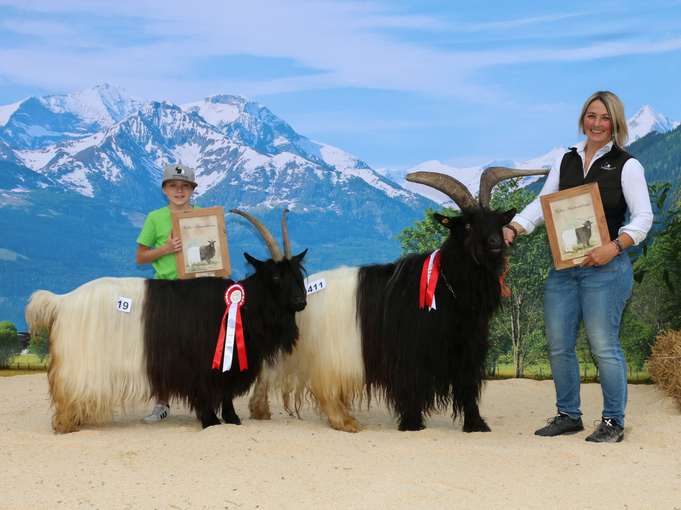 Bundessiegerin und Bundessieger bei den Walliser Schwarzhalsziegen.jpg © Sendlhofer