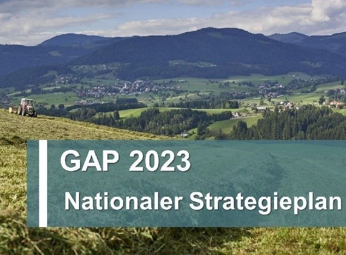 GAP 2023 Nationaler Strategieplan.jpg