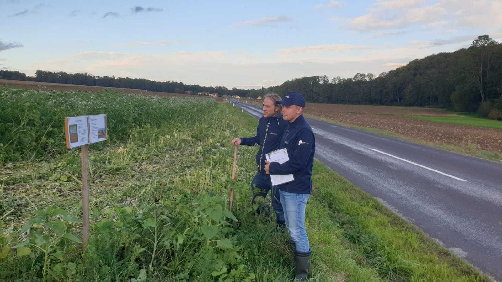 Auch in Wolfern gabs gestern für den AK Wolfern eine Feldbegehung zum Zwischenfruchtanbau am Betrieb von Fabian Poinstingl. Fabian hat verschiedene Zwischenfruchtvarianten angelegt, die sich sehr gut entwickeln. Danke für das rege Interesse! © BWSB