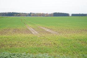  © Landwirtschaftskammer Oberösterreich/Kastenhuber