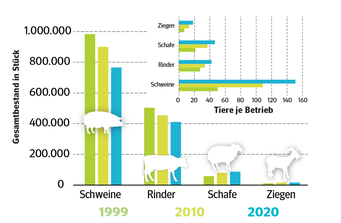 Agrarstruktur in Niederösterreich © Statistik Austria/Agrarstrukturerhebungen Agrarstruktur in Niederösterreich © Statistik Austria/Agrarstrukturerhebungen