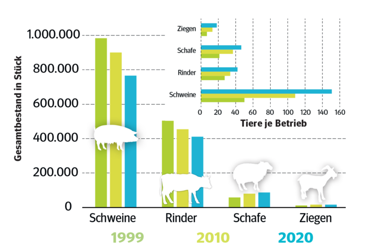 Agrarstruktur in Niederösterreich © Statistik Austria/Agrarstrukturerhebungen Agrarstruktur in Niederösterreich © Statistik Austria/Agrarstrukturerhebungen