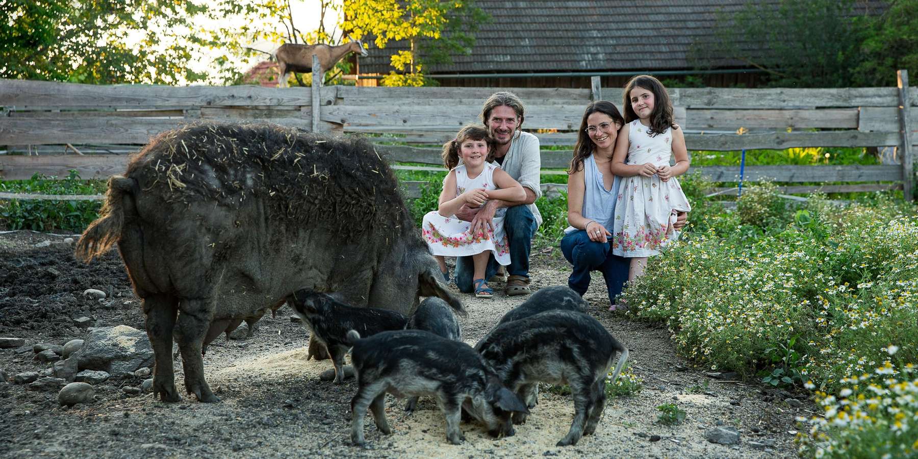 20200727 Adamhof (84)-min.jpg © Martin Jordan; Adamhof 20200727 Adamhof (84)-min.jpg © Martin Jordan; Adamhof