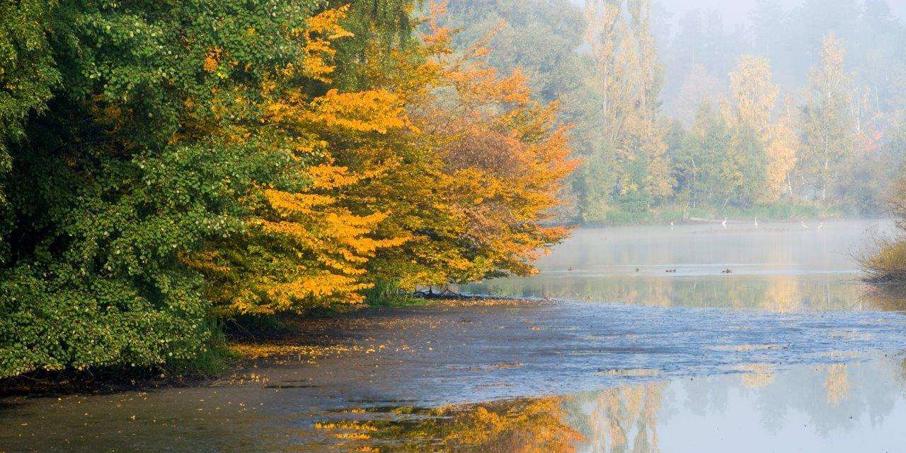 Bei der extensiven Bewirtschaftung treffen vergleichsweise sehr niedrige Besatzzahlen auf regionale Feldfuttermittel mit einer äußerst guten Ökobilanz. © Florian Kainz/Archiv Aqua Bei der extensiven Bewirtschaftung treffen vergleichsweise sehr niedrige Besatzzahlen auf regionale Feldfuttermittel mit einer äußerst guten Ökobilanz. © Florian Kainz/Archiv Aqua