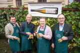 Weinlese Schwarzenbergplatz 2022.jpg © © Paul Pibernig Weinlese Schwarzenbergplatz 2022.jpg © © Paul Pibernig