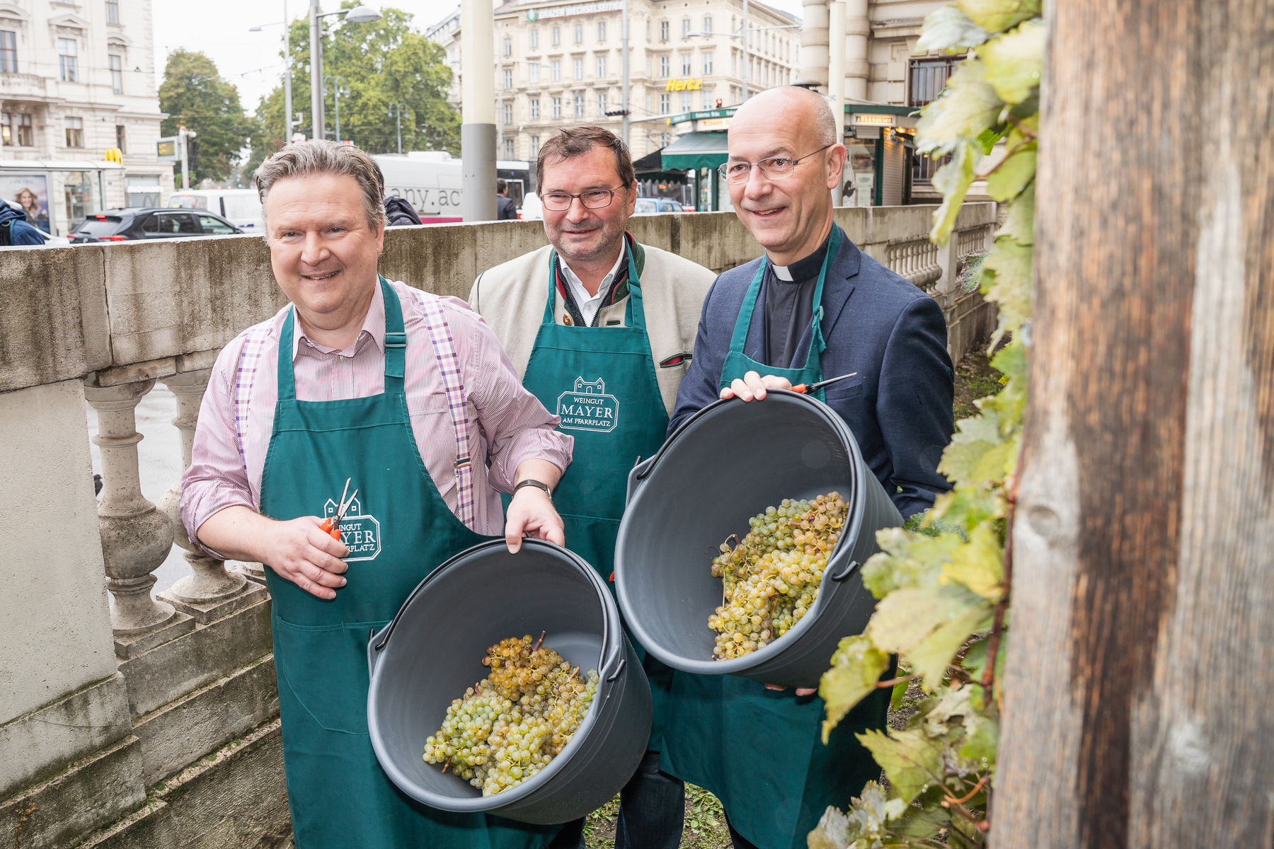 Weinlese Schwarzenbergplatz 2022.jpg © © Paul Pibernig Weinlese Schwarzenbergplatz 2022.jpg © © Paul Pibernig