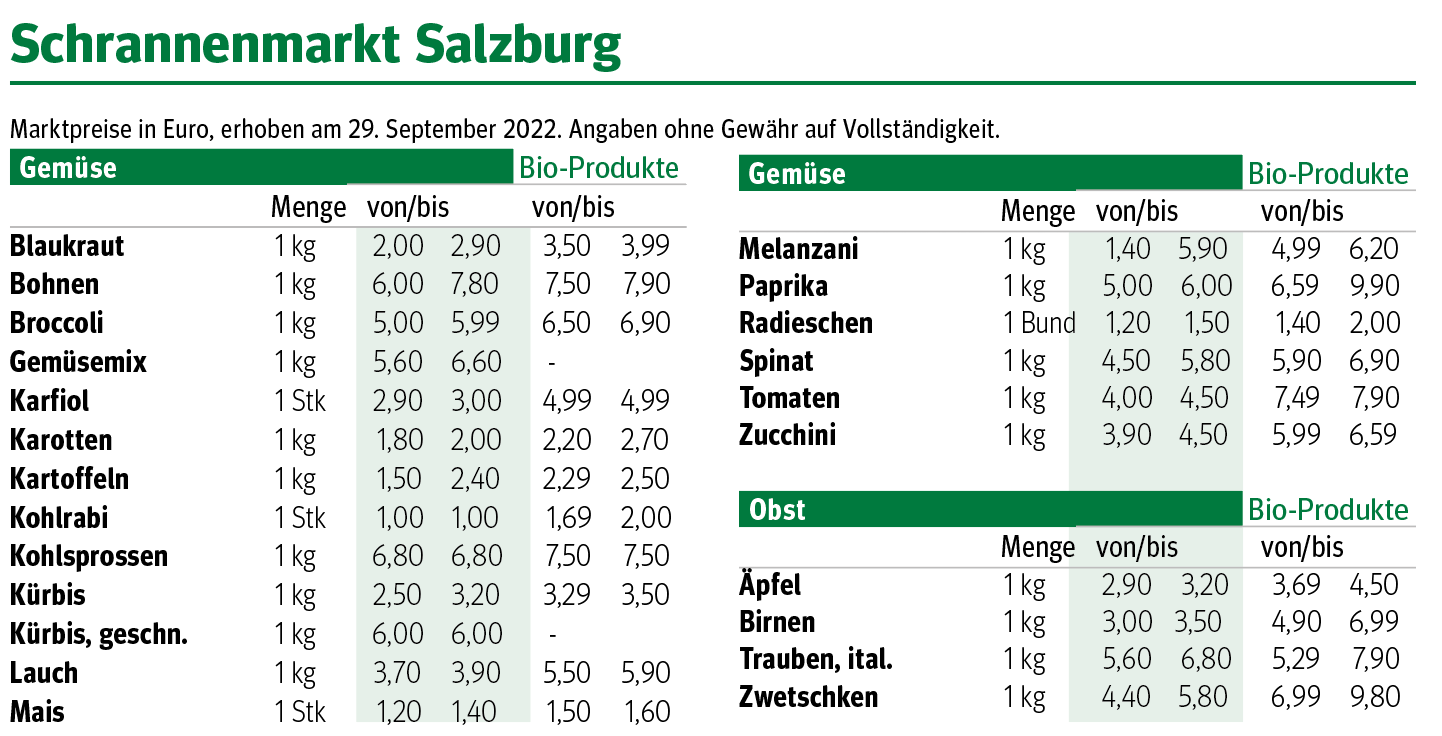 Bildschirmfoto 2022-10-03 um 22.29.37.png © Archiv Bildschirmfoto 2022-10-03 um 22.29.37.png © Archiv