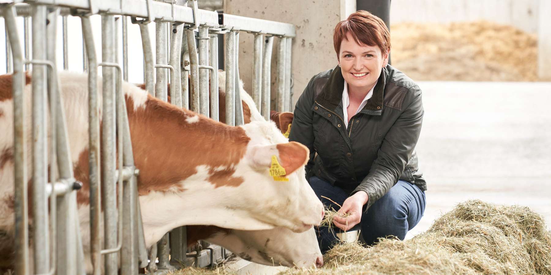 Umsetzung der längst geforderten Herkunftskennzeichnung gegen ausländisches Kalbfleisch und Kälberexporte ins Ausland. © Philipp Monihart/LK Niederösterreich Umsetzung der längst geforderten Herkunftskennzeichnung gegen ausländisches Kalbfleisch und Kälberexporte ins Ausland. © Philipp Monihart/LK Niederösterreich