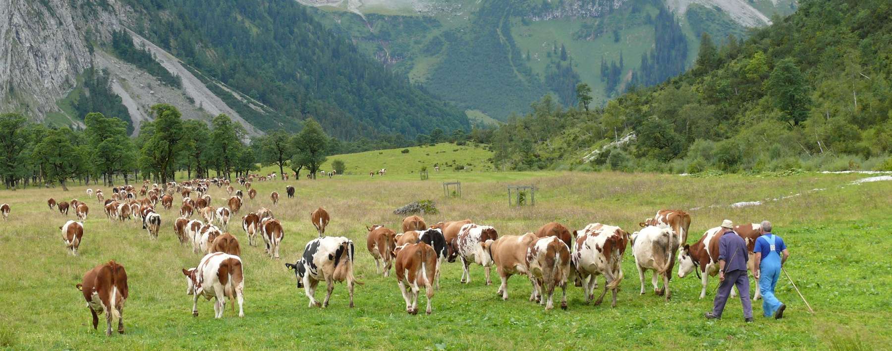 Behirtung-min.jpg © stock.adobe.com Behirtung-min.jpg © stock.adobe.com