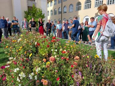 Bienenbeet im Stift St. Georgen-min.jpg