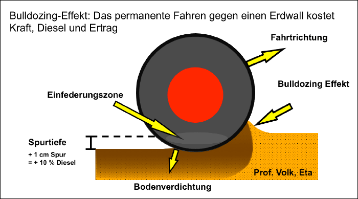 © Prof. Dr. Ludwig Volk © Prof. Dr. Ludwig Volk