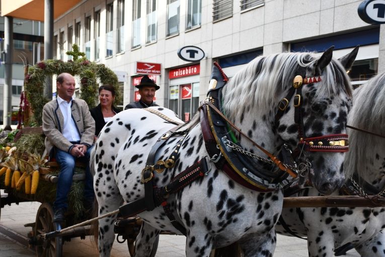 © LK Vbg. © LK Vbg.