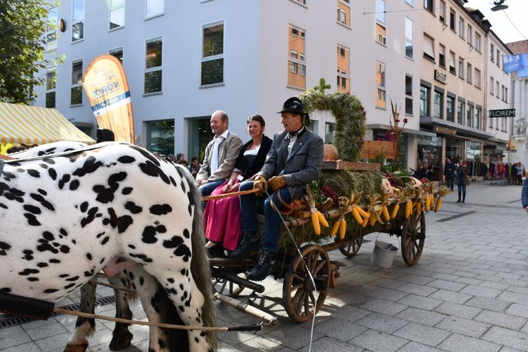 © LK Vbg. © LK Vbg.