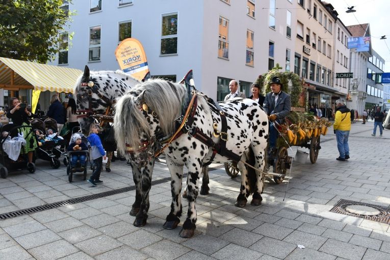 © LK Vbg. © LK Vbg.