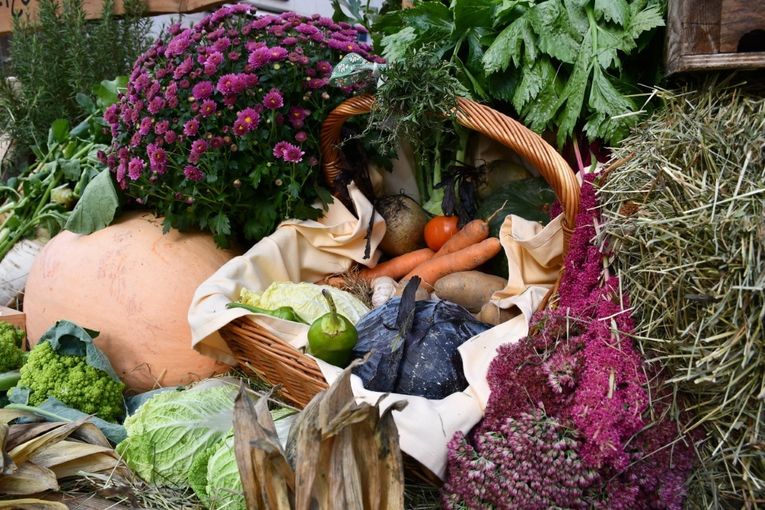 © LK Vbg. © LK Vbg.