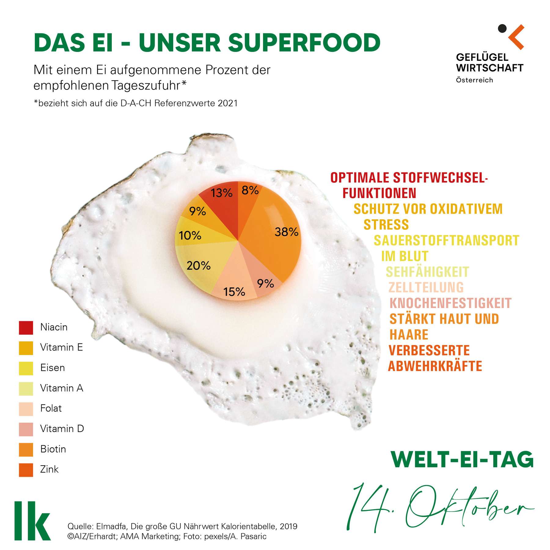 Grafik Das Ei - unser Superfood