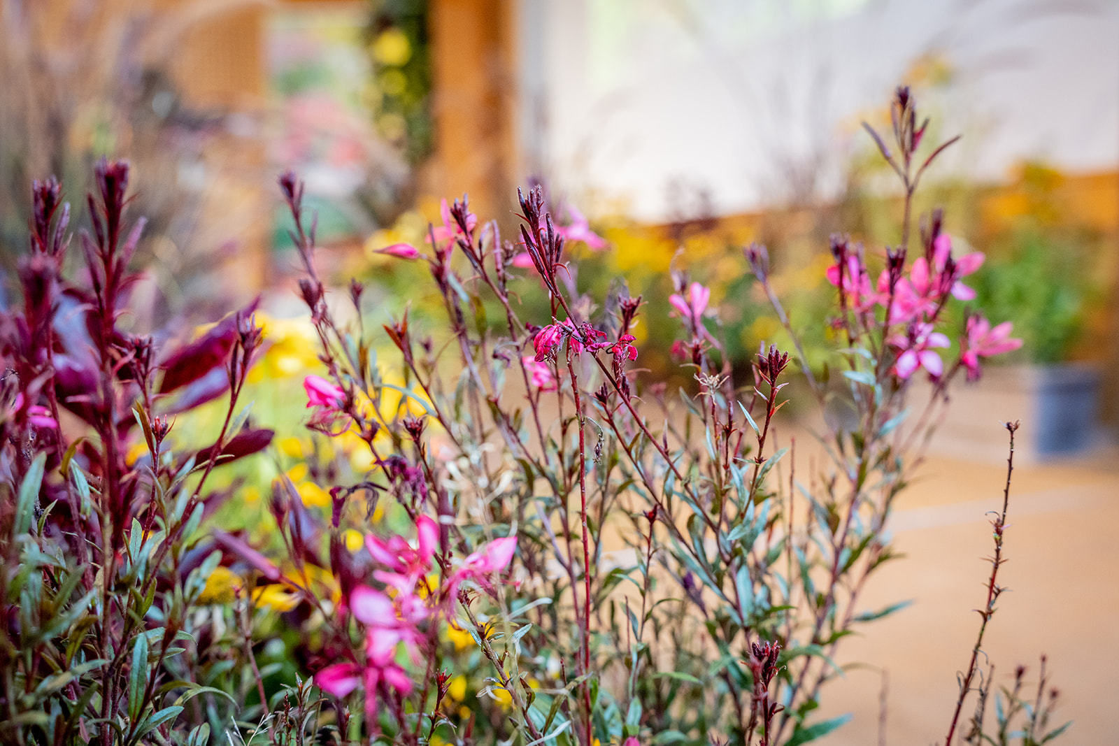 © Georg Pomaßl/LK Niederösterreich © Georg Pomaßl/LK Niederösterreich
