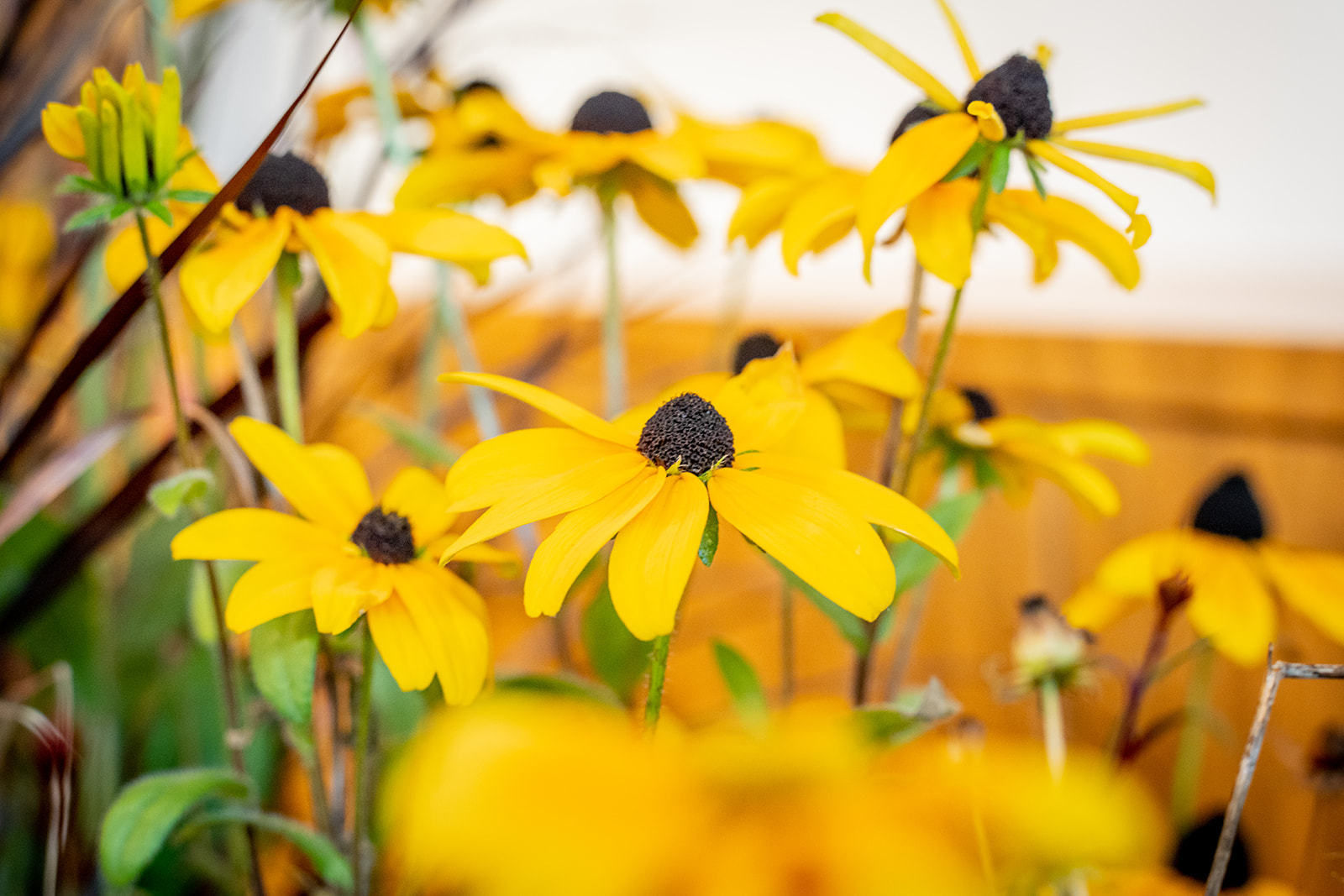 © Georg Pomaßl/LK Niederösterreich © Georg Pomaßl/LK Niederösterreich