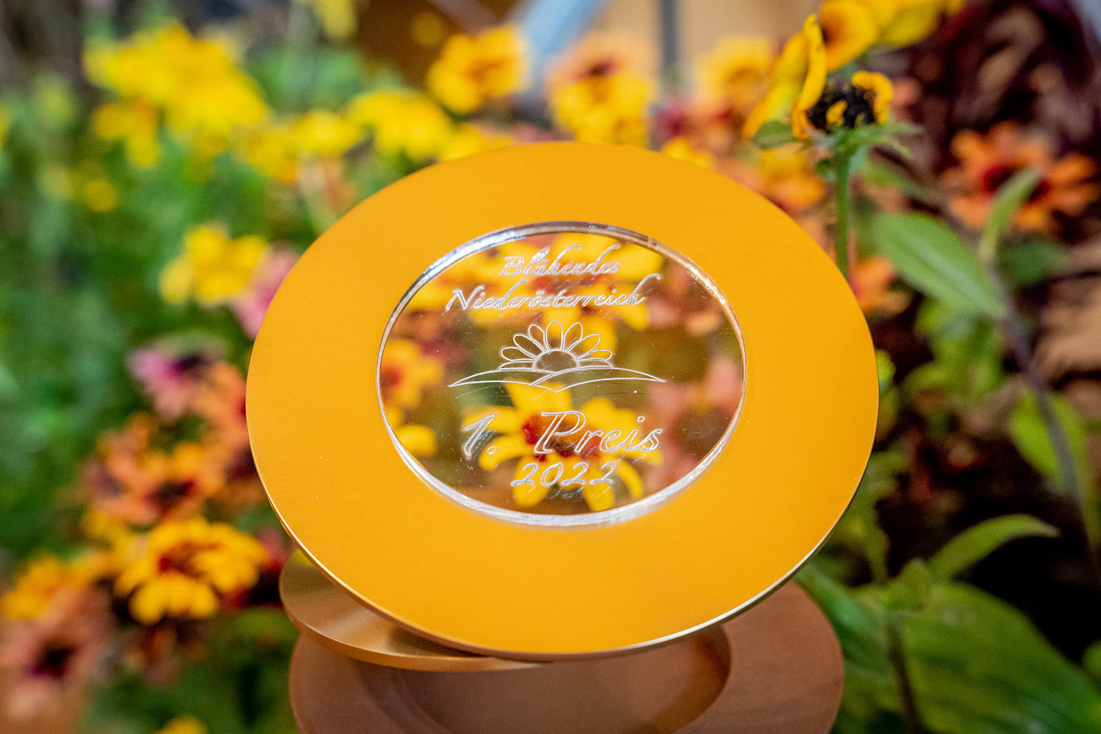 © Georg Pomaßl/LK Niederösterreich © Georg Pomaßl/LK Niederösterreich