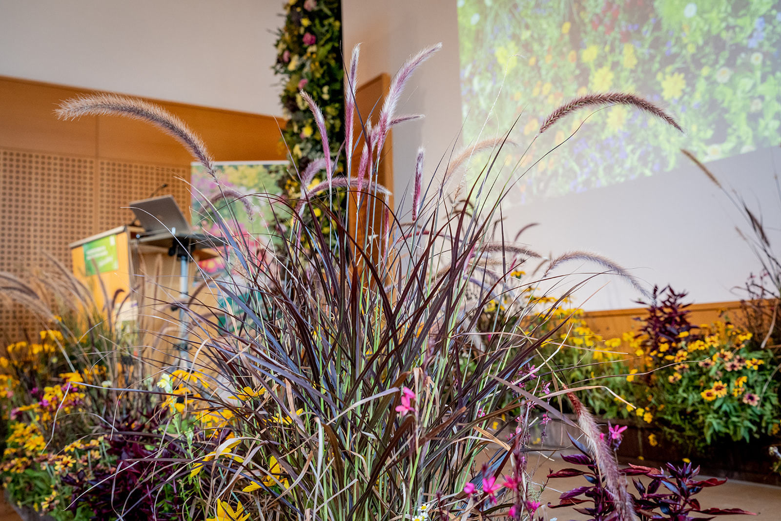 © Georg Pomaßl/LK Niederösterreich © Georg Pomaßl/LK Niederösterreich