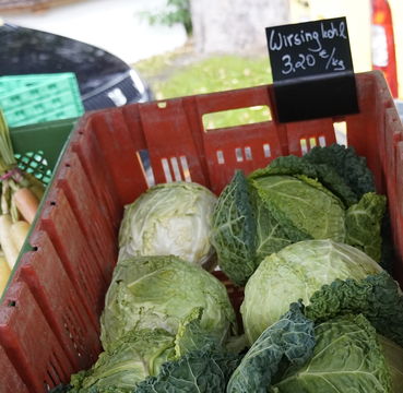 sb41_mt_kraut.jpg © Dürnberger sb41_mt_kraut.jpg © Dürnberger