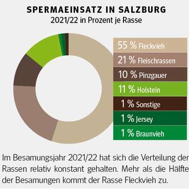 Spermaeinsatz in Salzburg.jpg © Salzburger Bauer Spermaeinsatz in Salzburg.jpg © Salzburger Bauer