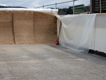 Saubere Futterentnahme - Kopie-min.jpg © LK Kärnten/Wolfgang Stromberger Saubere Futterentnahme - Kopie-min.jpg © LK Kärnten/Wolfgang Stromberger